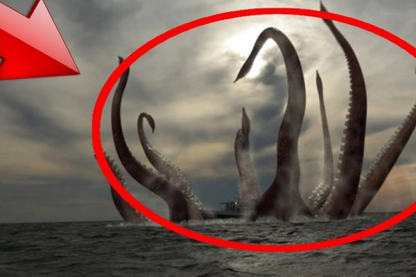 Kraken зеркало тор